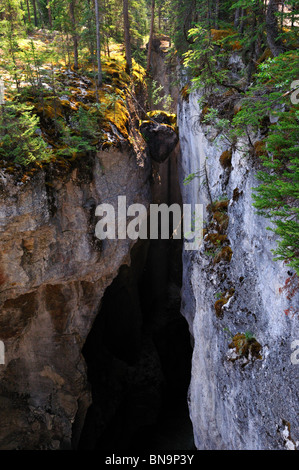 Sonnenlicht durch Maligne Canyon. Jasper Nationalpark, Alberta, Kanada. Stockfoto