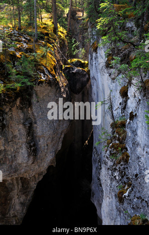 Sonnenlicht durch Maligne Canyon. Jasper Nationalpark, Alberta, Kanada. Stockfoto