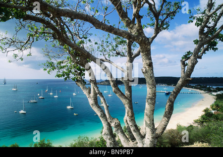 Karibik, Insel Anguilla, Road Bay Harbour, Anguilla Stockfoto