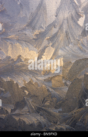 Eis-Muster in einem Fenster, Seward, Alaska. Stockfoto