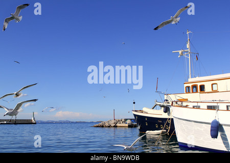 Fliegende Möwen auf Formentera Hafen Sommer Balearen Stockfoto