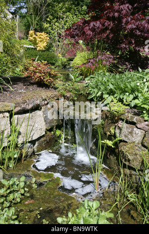 Stonyford Bauerngärten, England. Malerischen Frühling Blick auf Teich und Wasser Feature Stonyford Bauerngärten. Stockfoto