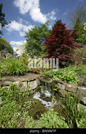 Stonyford Bauerngärten, England. Malerischen Frühling Blick auf Teich und Wasser Feature Stonyford Bauerngärten. Stockfoto