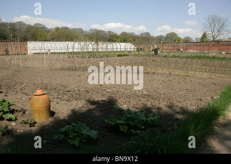 Nachlass von Tatton Park, England. Zeitigen Frühjahr Blick auf Tatton Park Gemüsegarten. Stockfoto