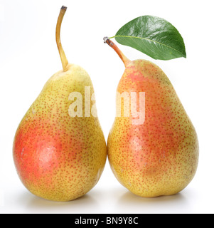 Zwei köstliche Birnen mit einem Blatt. Isoliert auf weißem Hintergrund. Stockfoto