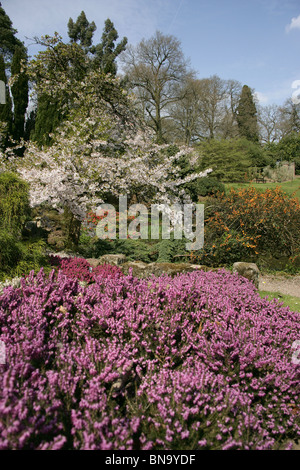 Cholmondeley Schlossgärten. Frühlings-Blick auf Cholmondeley Castle Tempel Wassergarten. Stockfoto