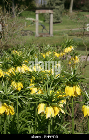 Cholmondeley Schlossgärten. Frühlings-Blick auf Cholmondeley Castle Tempel Wassergarten. Stockfoto