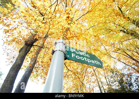 Öffentlichen Fußweg Schild mit gelbem Herbstlaub in den Hintergrund, Royal Forest of Dean, Gloucestershire, England, UK Stockfoto