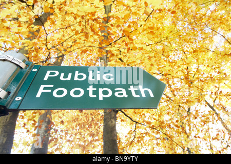 Öffentlichen Fußweg Schild mit gelbem Herbstlaub in den Hintergrund, Royal Forest of Dean, Gloucestershire, England, UK Stockfoto