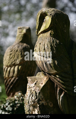 Jodrell Bank Arboretum, England. Nahaufnahme der wilde Vogel Schnitzereien in den Waldspaziergang von 35 Hektar großen Jodrell Bank Arboretum. Stockfoto