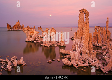 Sonnenuntergang über Mono Lake Tufas mit Vollmond im Hintergrund. Stockfoto