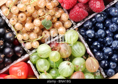 Verschiedene bunte Beeren im Feld Stockfoto