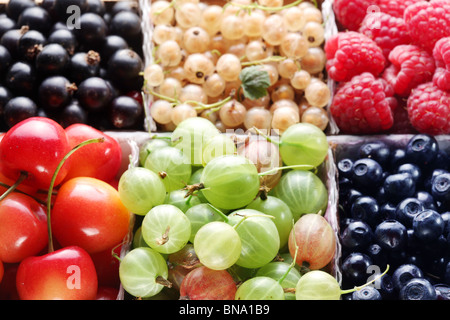 Verschiedene bunte Beeren im Feld Stockfoto