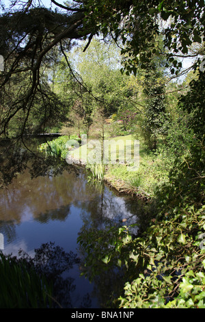 Stonyford Bauerngärten, England. Malerischen Frühling Ansicht der Feder gefüttert See am Stonyford Bauerngärten. Stockfoto