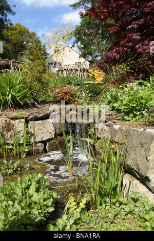 Stonyford Bauerngärten, England. Malerischen Frühling Blick auf Teich und Wasser Feature Stonyford Bauerngärten. Stockfoto