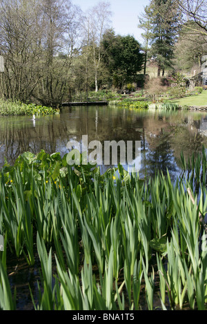 Stonyford Bauerngärten, England. Malerische Frühjahr Blick auf den See und die Feder gefüttert Jungbrunnen Stonyford Bauerngärten. Stockfoto