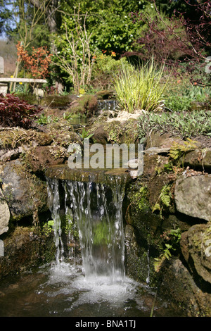 Stonyford Bauerngärten, England. Malerischen Frühling Blick auf Teich und Wasser Feature Stonyford Bauerngärten. Stockfoto