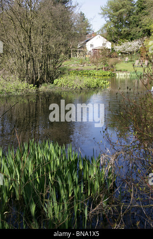 Stonyford Bauerngärten, England. Malerischen Frühling Ansicht der Feder gefüttert See am Stonyford Bauerngärten. Stockfoto