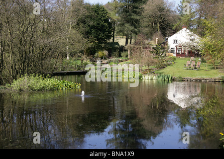 Stonyford Bauerngärten, England. Malerische Frühjahr Blick auf den See und die Feder gefüttert Jungbrunnen Stonyford Bauerngärten. Stockfoto