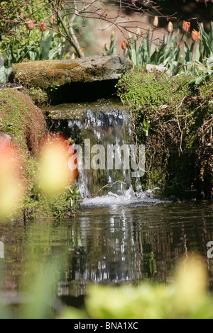 Stonyford Bauerngärten, England. Malerischen Frühling Blick auf Teich und Wasser Feature Stonyford Bauerngärten. Stockfoto