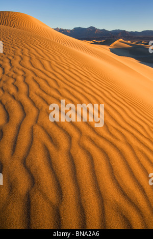 Mesquite flache Sanddünen, Death Valley Nationalpark Stockfoto