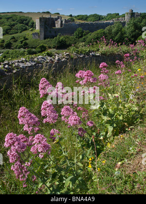 mittelalterliche Burgruine am Manorbier auf der Pembrokeshire Coast Dyfed wales Stockfoto