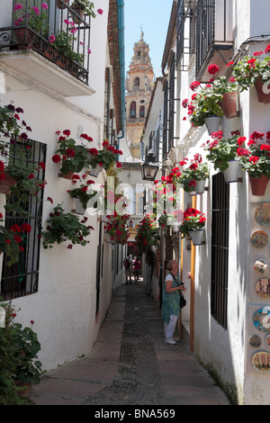 Die Callejon de Flores in Cordoba dekoriert mit Geranien in Töpfen Andalusien Spanien Europa Stockfoto