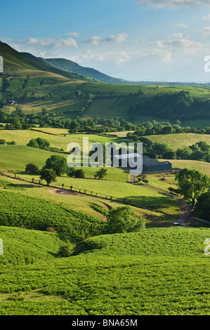 Blick über gemeinsame und Ländereien von in der Nähe von Heu Bluff, Brecon Beacons National Park, Wales Stockfoto