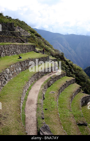 Terrassen Machu Picchu, Peru, Südamerika. Stockfoto