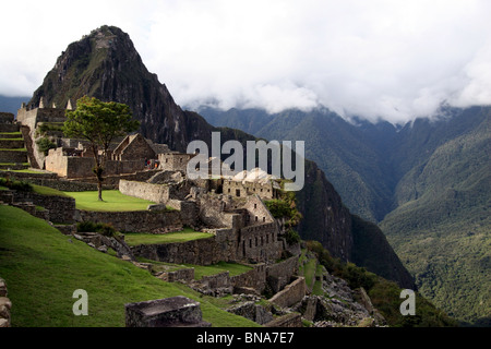 Terrassen Machu Picchu, Peru, Südamerika. Stockfoto