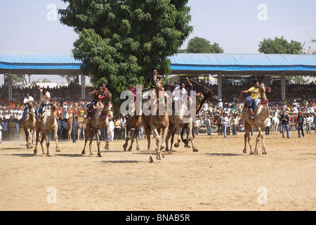 Ein Kamel Fahrer ein Rennen in Pushkar Festival, das die älteste Tradition ist sport-Events in Rajasthan Stockfoto