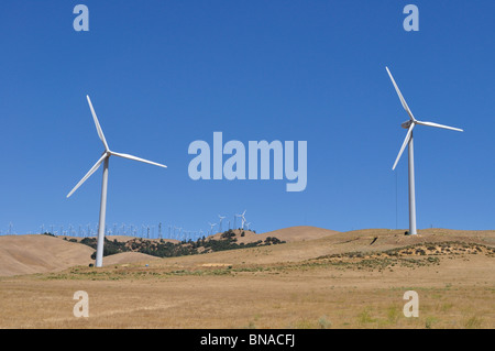 Wind-Maschinen auf den Tehachapi Pass, Mojave-Wüste, Sierra Nevada Mountains, Kalifornien Stockfoto