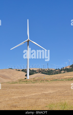 Wind-Maschinen auf den Tehachapi Pass, Mojave-Wüste, Sierra Nevada Mountains, Kalifornien Stockfoto