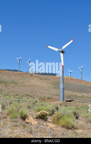 Wind-Maschinen auf den Tehachapi Pass, Mojave-Wüste, Sierra Nevada Mountains, Kalifornien Stockfoto