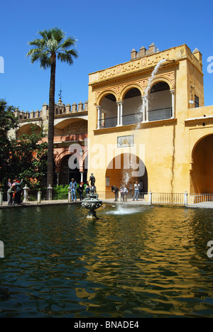 Alcazar - Schloss der Könige, Brunnen und Pool in den Gärten, Sevilla, Provinz Sevilla, Andalusien, Spanien, Westeuropa. Stockfoto