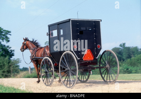 Amische Buggy unterwegs in Kentucky USA Stockfoto