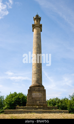 Hood-Denkmal Denkmal für Admiral Samuel Hood in der Nähe von Butleigh Somerset in Polden Hügel Stockfoto