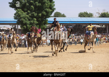 Ein Kamel Fahrer ein Rennen in Pushkar Festival, das die älteste Tradition ist sport-Events in Rajasthan Stockfoto