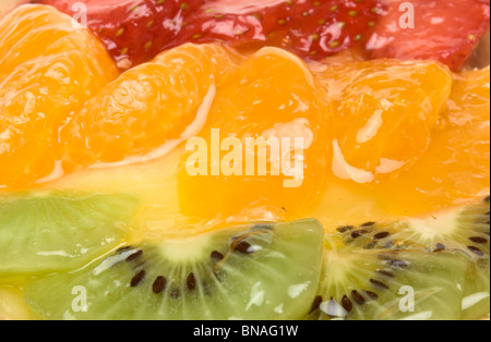 Vanillepudding gefüllt Törtchen garniert mit Sommerfrüchten von Erdbeere, Mandarine und Kiwis. Stockfoto