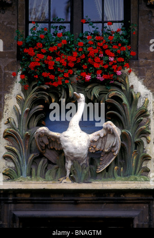 Guild House, der Schwan, Le Cygne, die Metzger Guild, GrandPlace, der Grand Place, Brüssel, Brüssel, Region Brüssel-Hauptstadt, Belgien, Europa Stockfoto