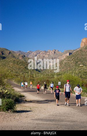 Wanderer im Sabino Canyon Recreation Area, Tucson, Arizona. Stockfoto