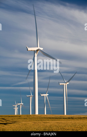 Windpark, Reifen Weizenfeld Stockfoto