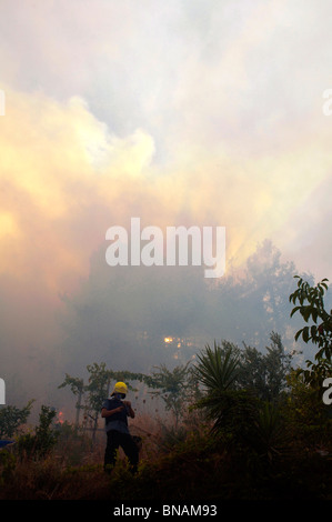 Feuerwehrmann bei massiven Wald Feuer in Galiläa Israel Stockfoto