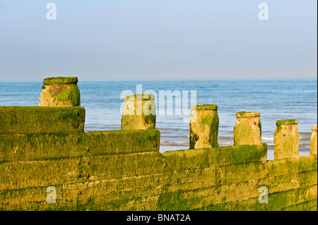 Eastbourne, East Sussex, Vereinigtes Königreich Stockfoto