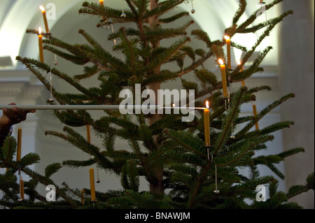 Einen traditionellen Weihnachtsbaum mit Kerzen in Österreich Stockfoto