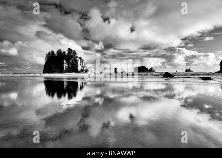 Zweiten Strand mit Wolken und Reflexion bei Ebbe. Olympic Nationalpark, Washington. Stockfoto