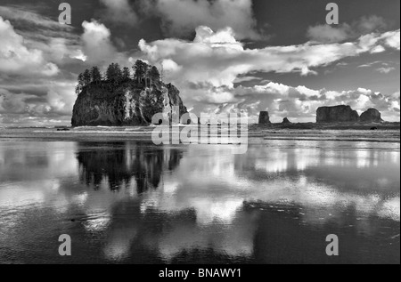 Zweiten Strand mit Wolken und Reflexion bei Ebbe. Olympic Nationalpark, Washington. Stockfoto