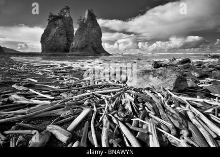 Treibholz und Split Rock. Rialto Beach. Olympic Nationalpark, Washington Stockfoto