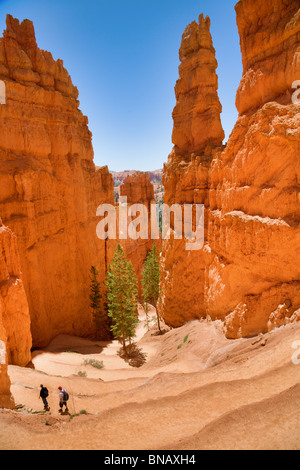 Switchback Wanderweg durch den Bryce Canyon in Utah Stockfoto