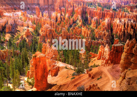 Einzigartigen Felsformationen im Bryce Canyon Stockfoto